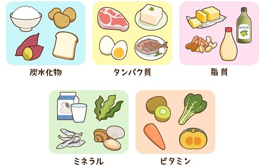 美肌づくりは毎日の食事から…栄養素の基本